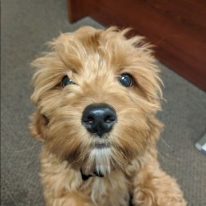 Meet your Posher, Katy